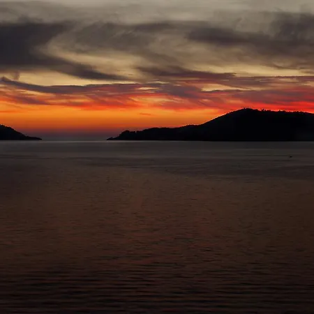 Platform1 4* Специя